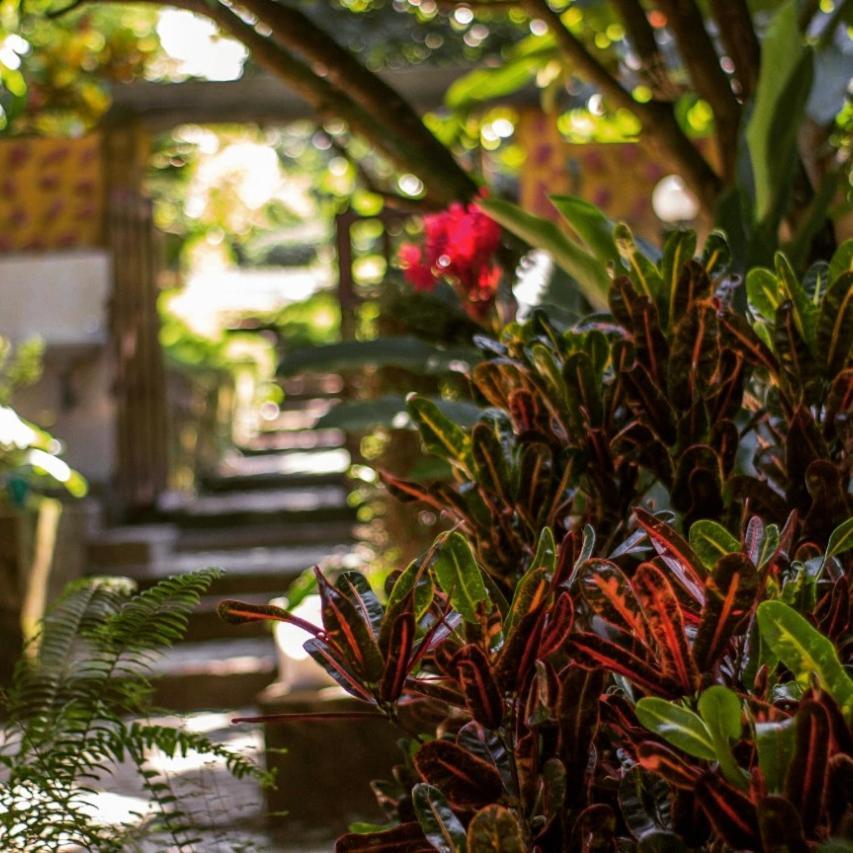 Mi Refugio Tayrona Hotel Santa Marta  Exterior photo